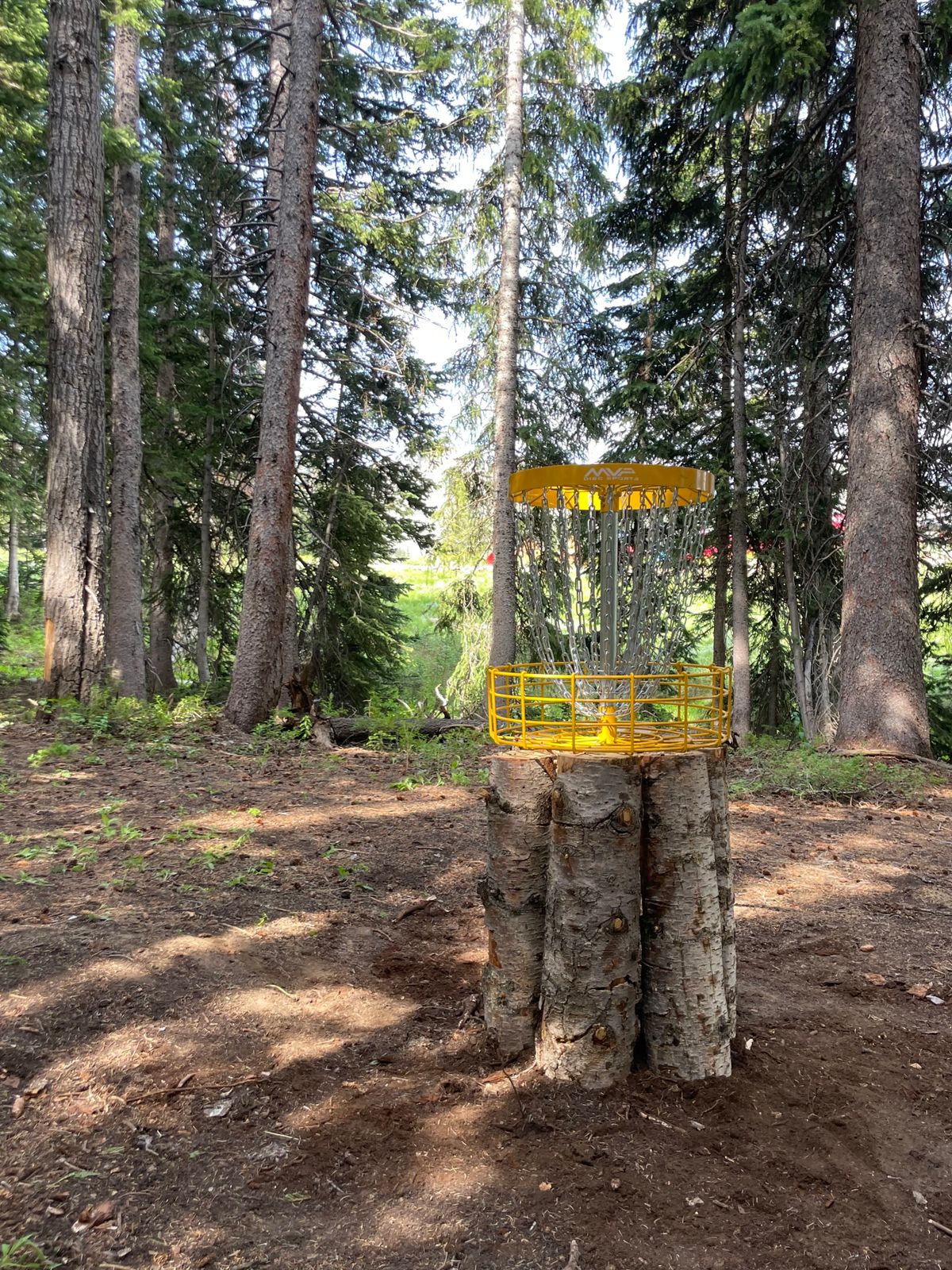 Hole 5