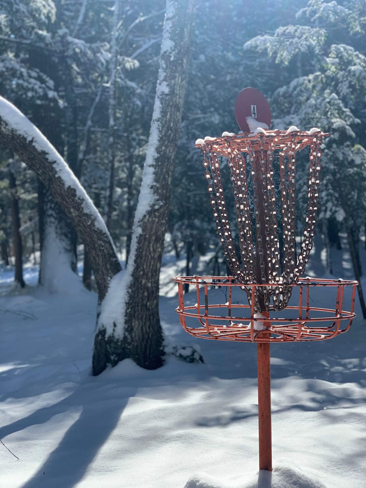 Hole #4