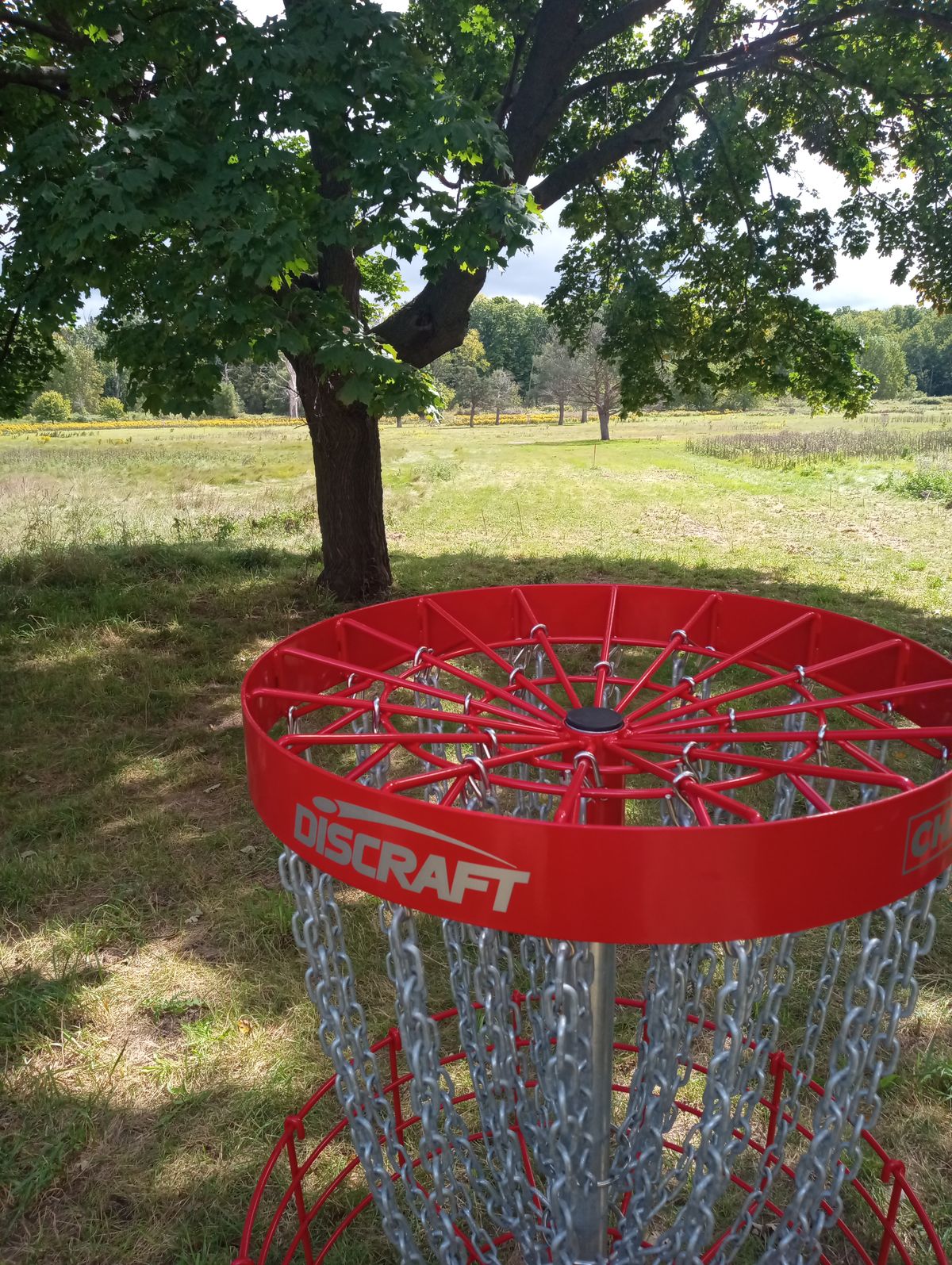 Hole 16 back to tee