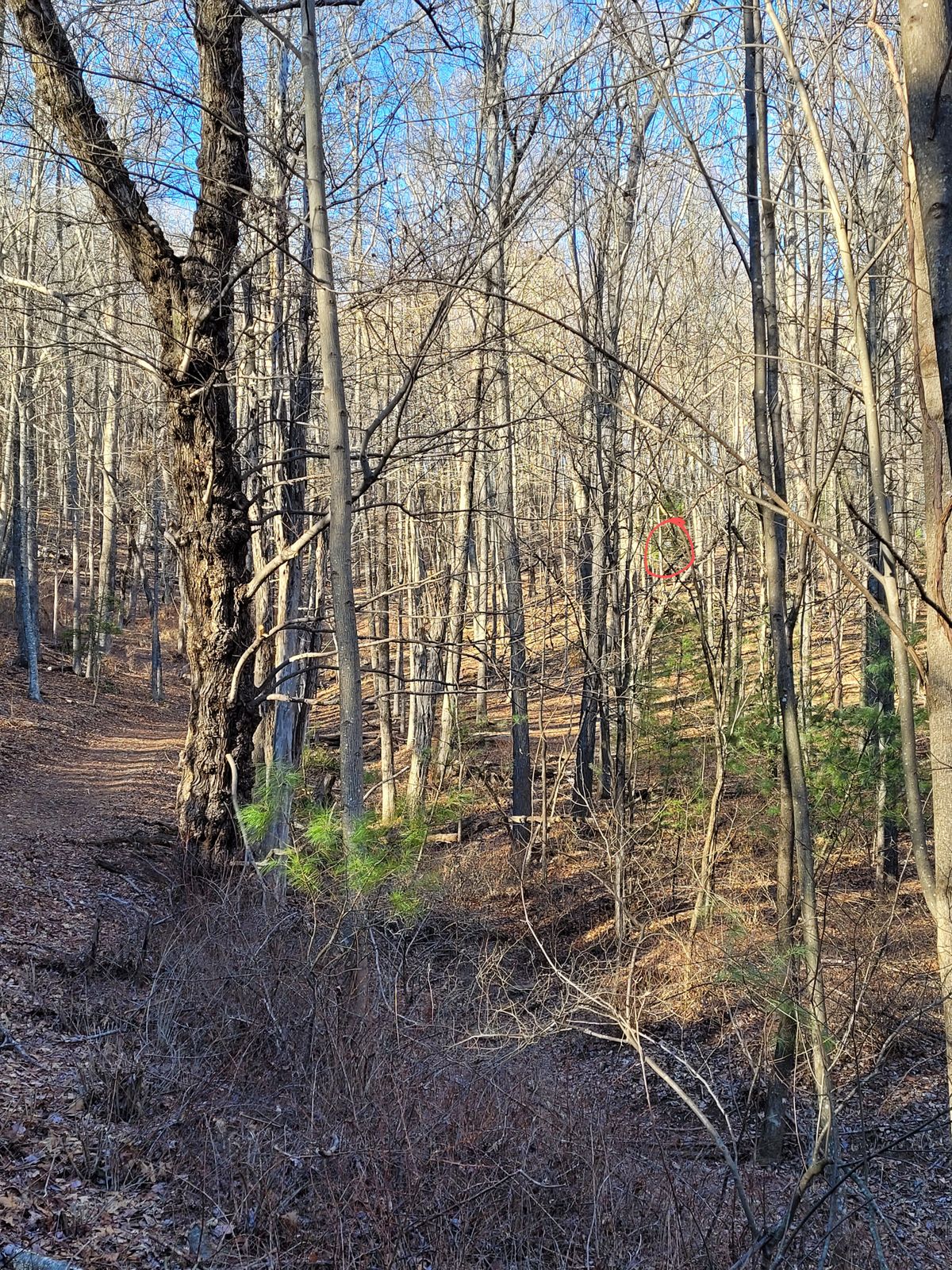 Hole #12 from pad