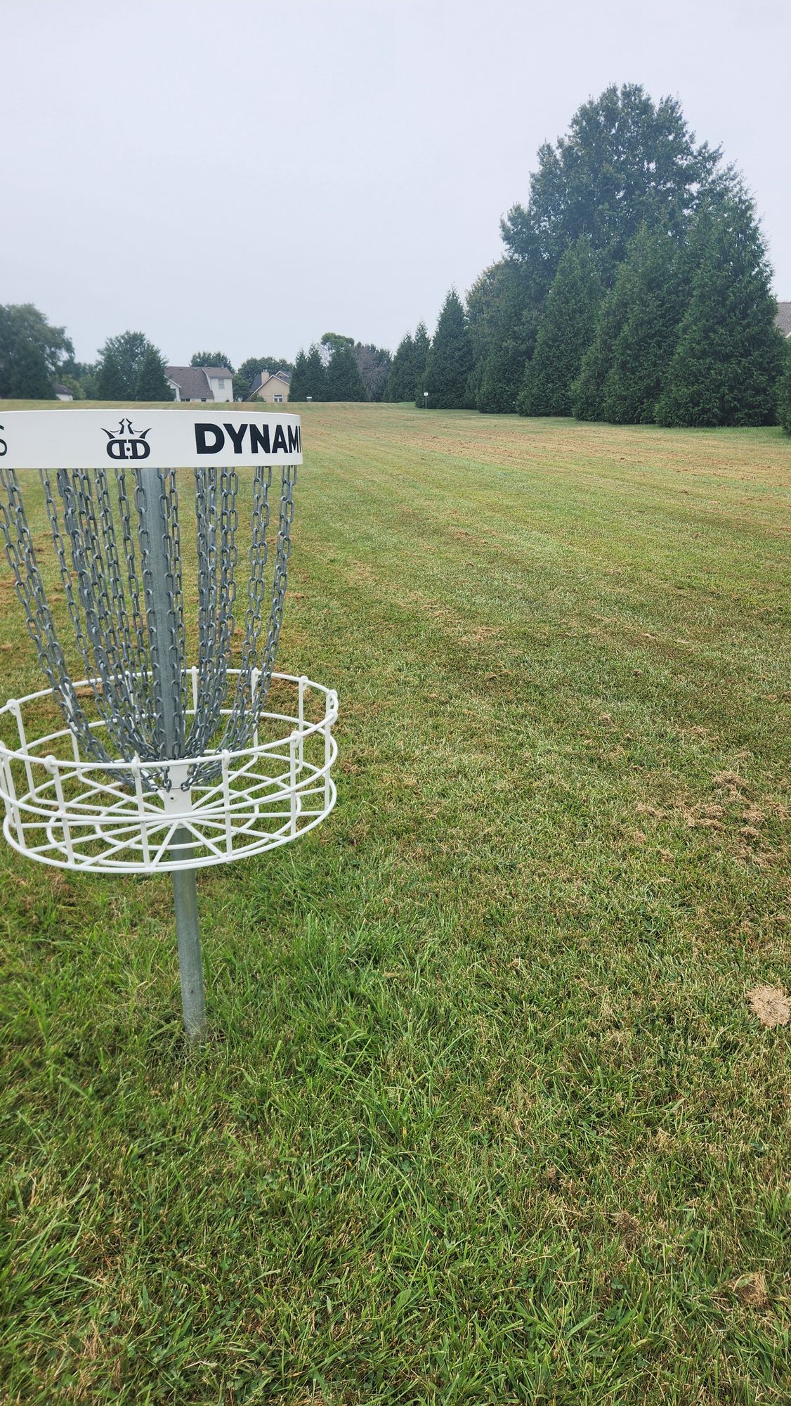 Hole 2 Basket to Tee