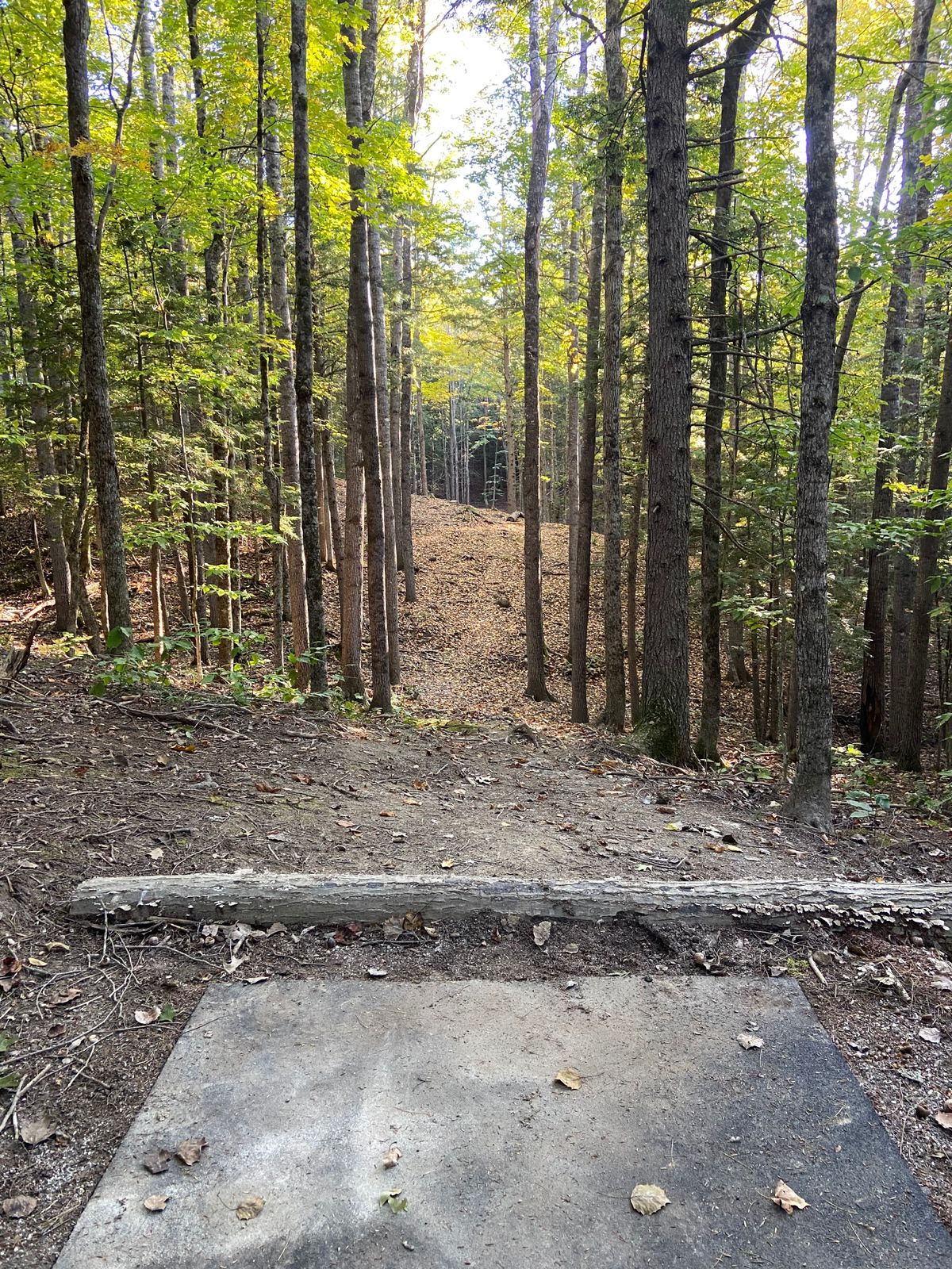 Hole 15 tee