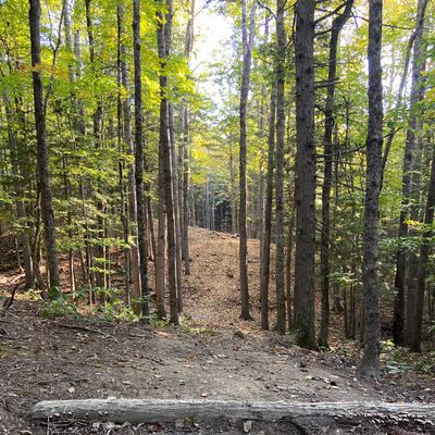 Hole 15 tee