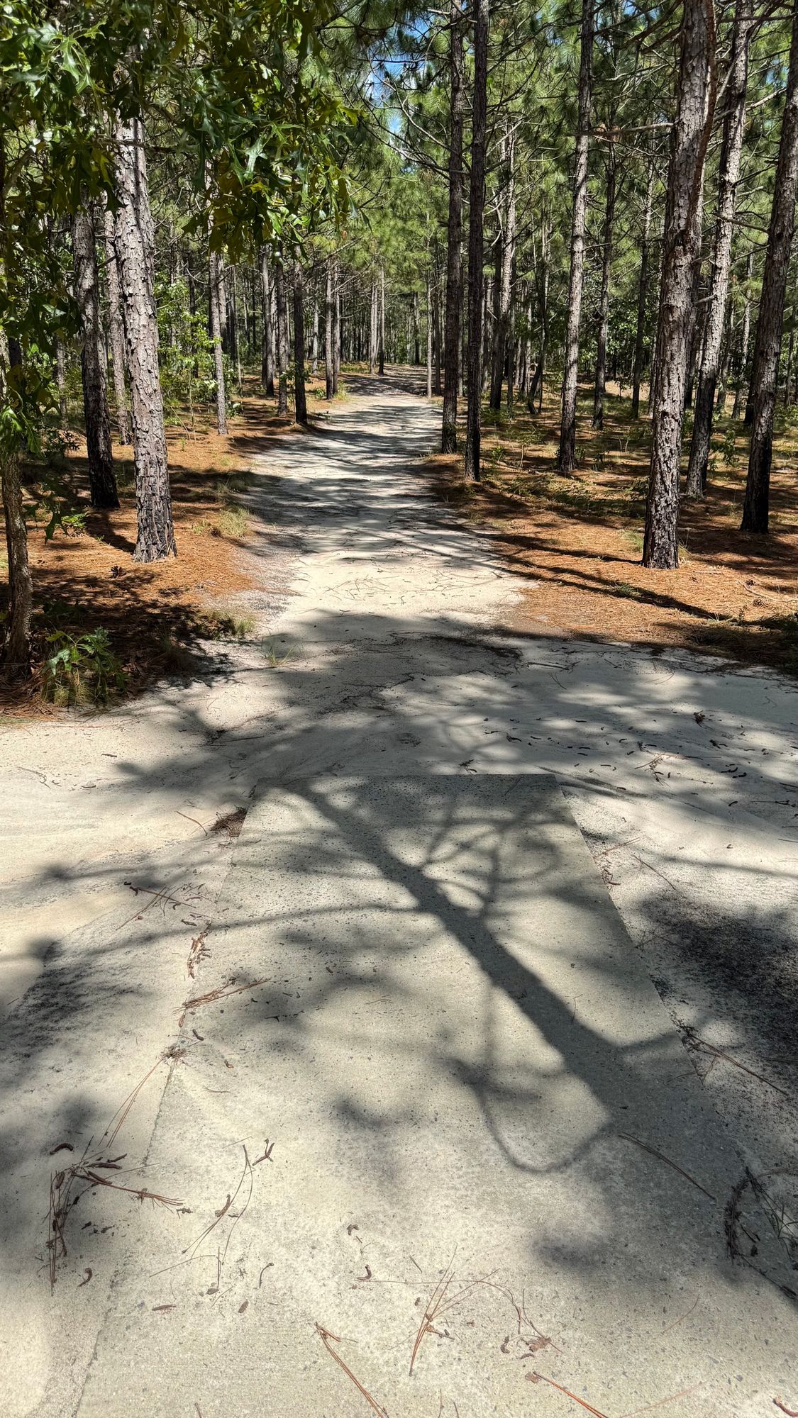 Hole 7 Tee Pad