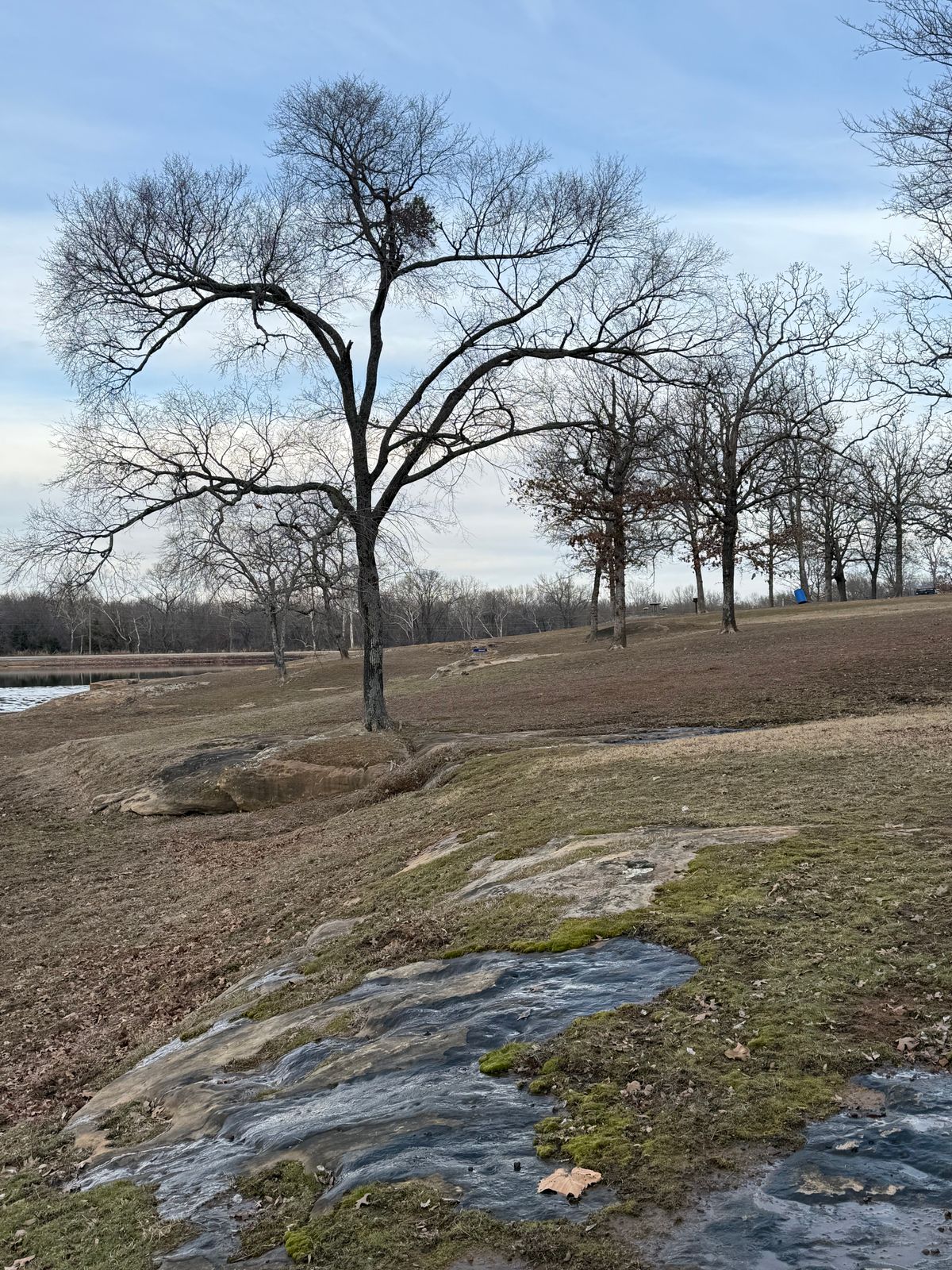 Hole 10 (Shorts) Basket behind the rock guardian