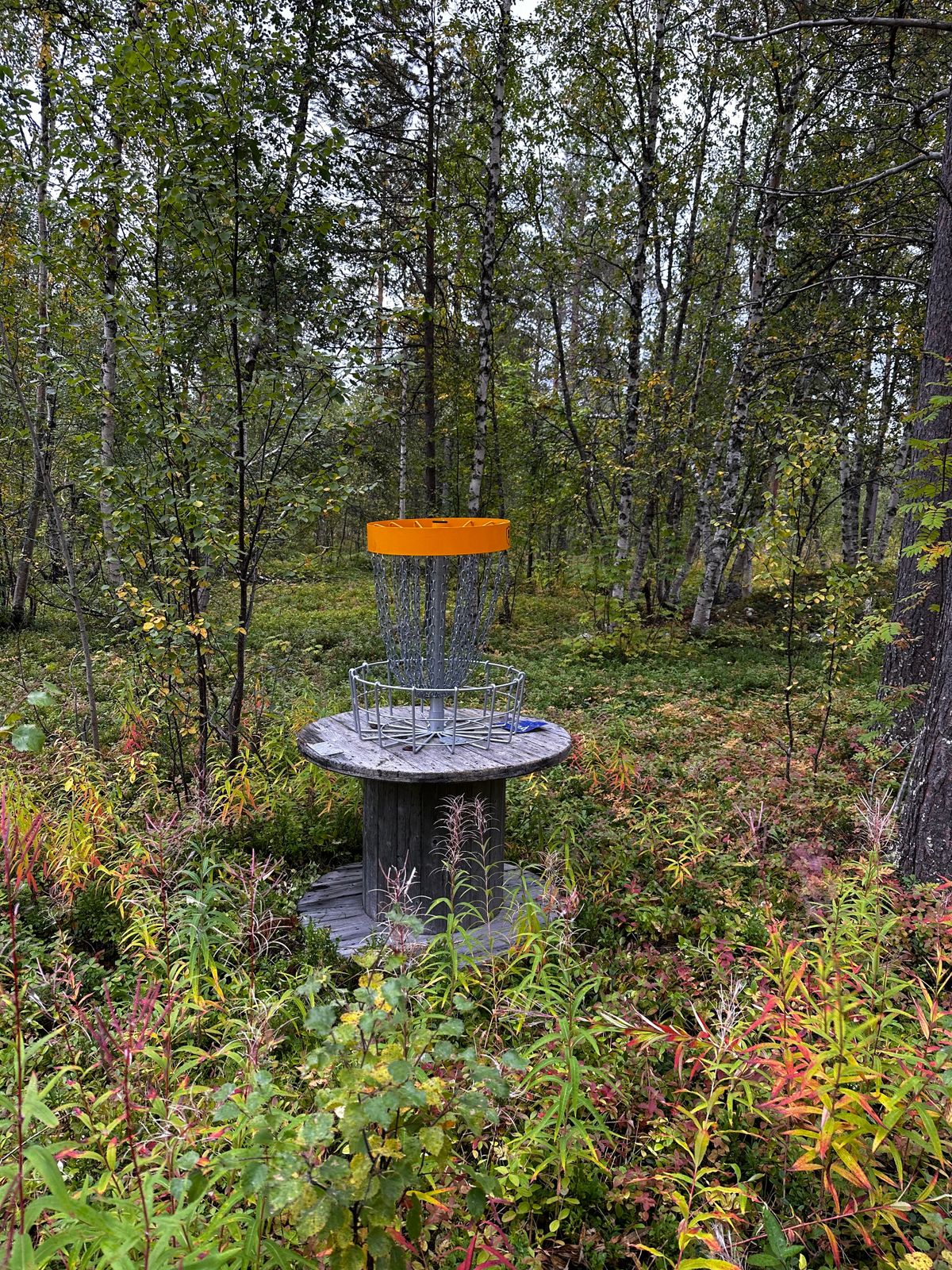 Hole 15