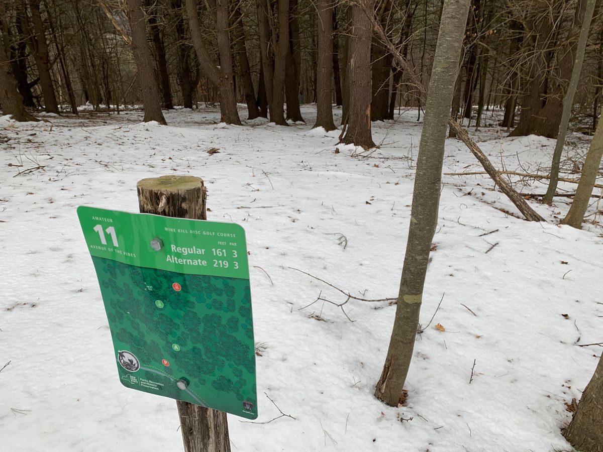 11 green to green , we should have brought skis it was awesome !