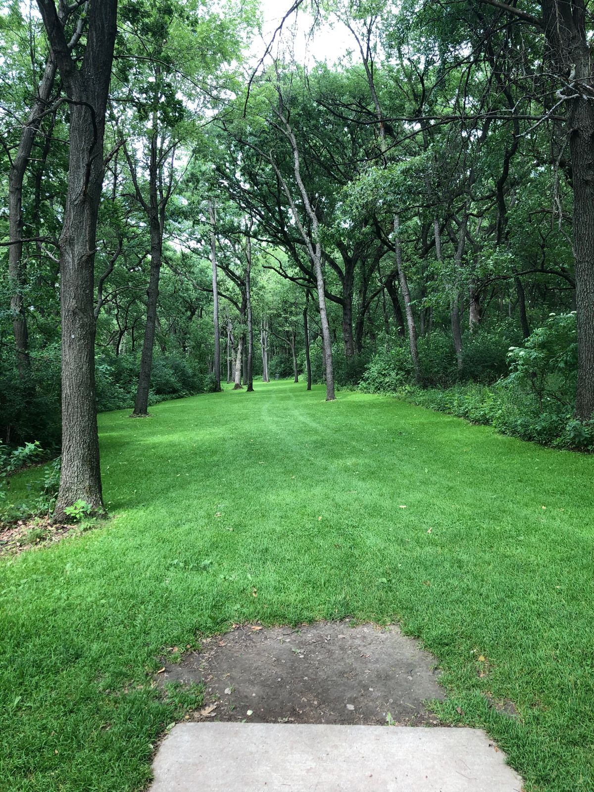 Sanctuary from the wind (photo prior photo to invasive clearing which began in 2021
