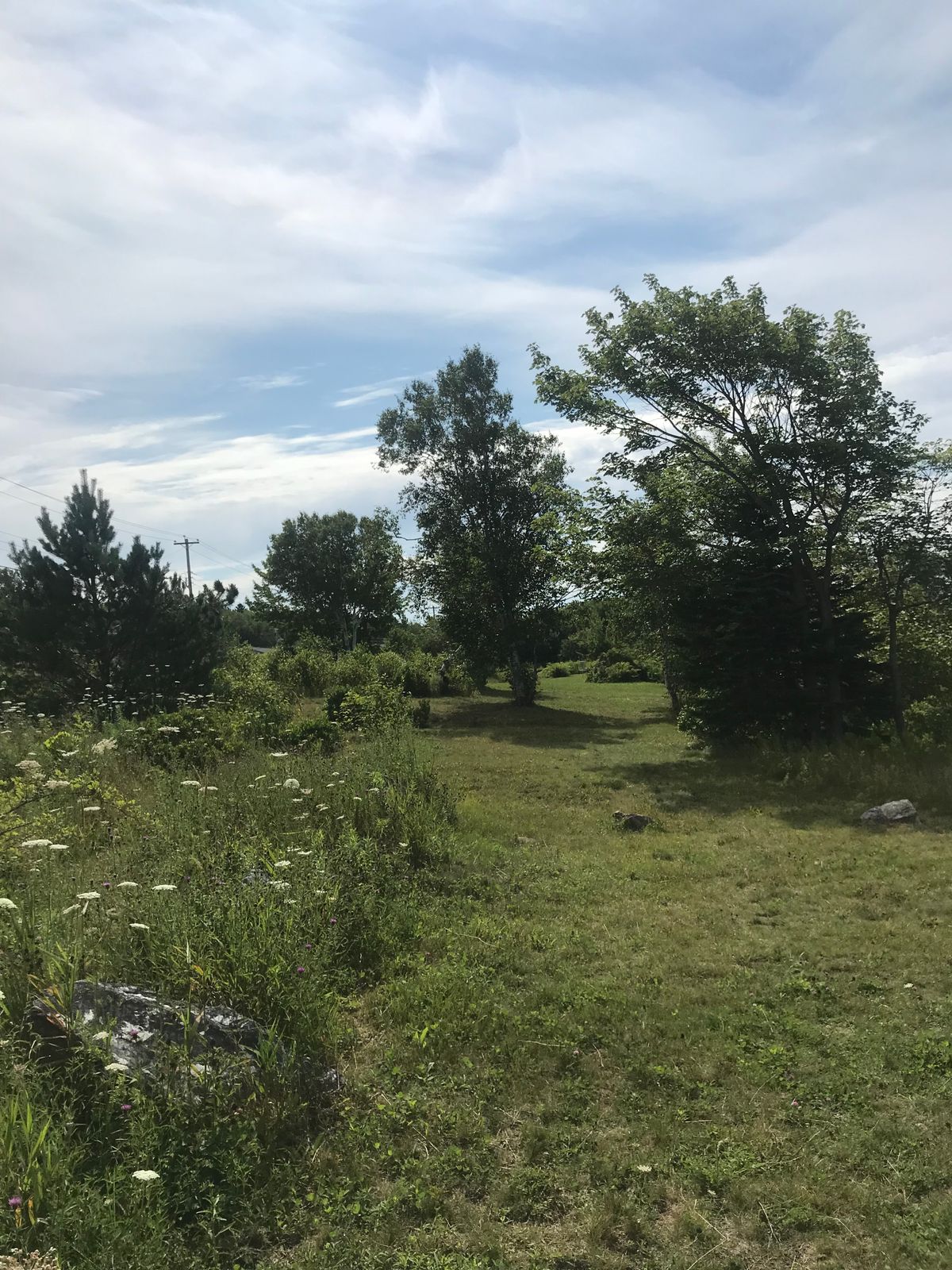 Hole 2 Tee