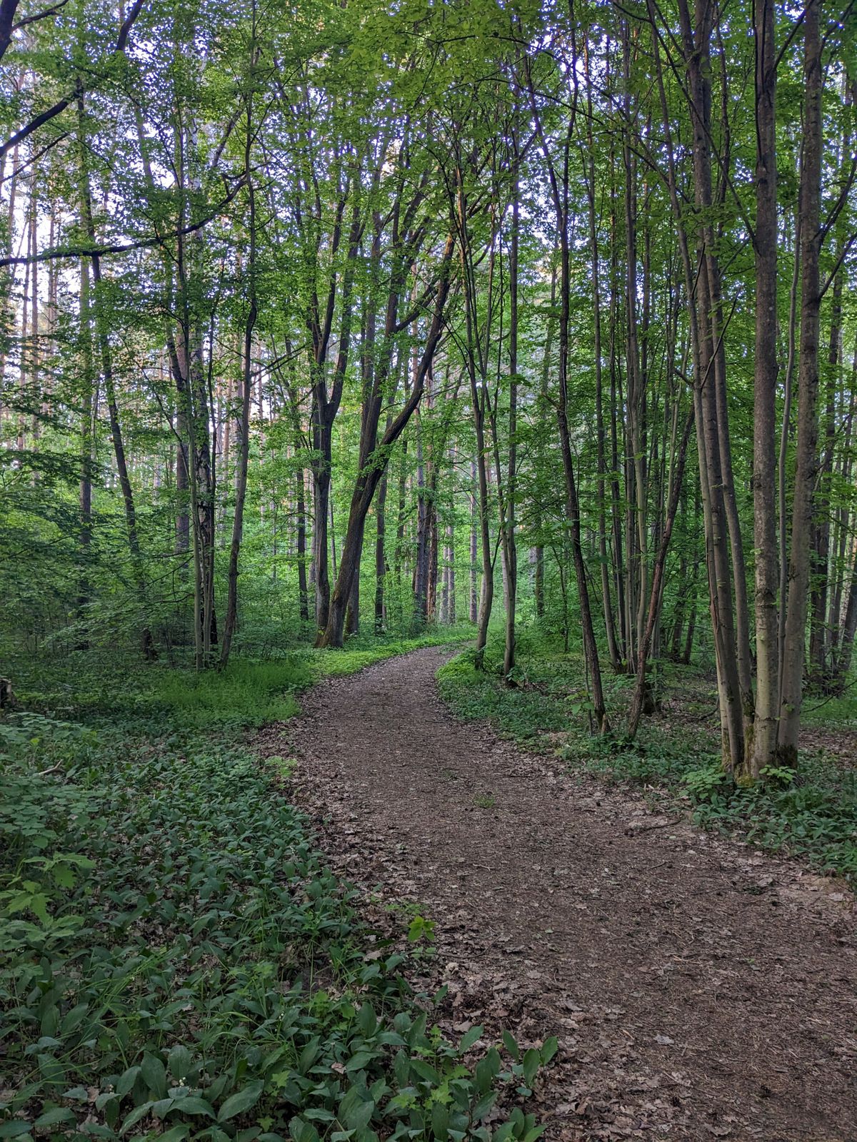 Hole 9