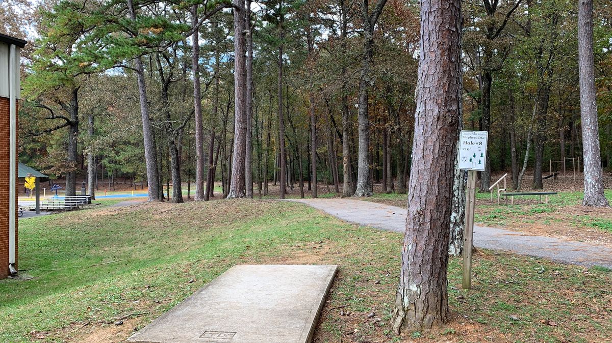 Hole 8