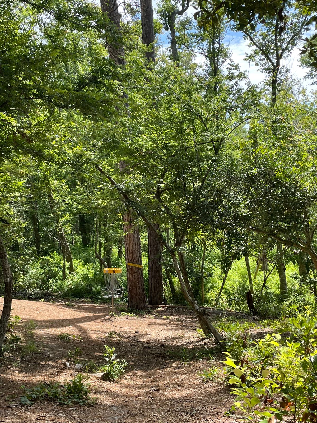 Green on hole 8.