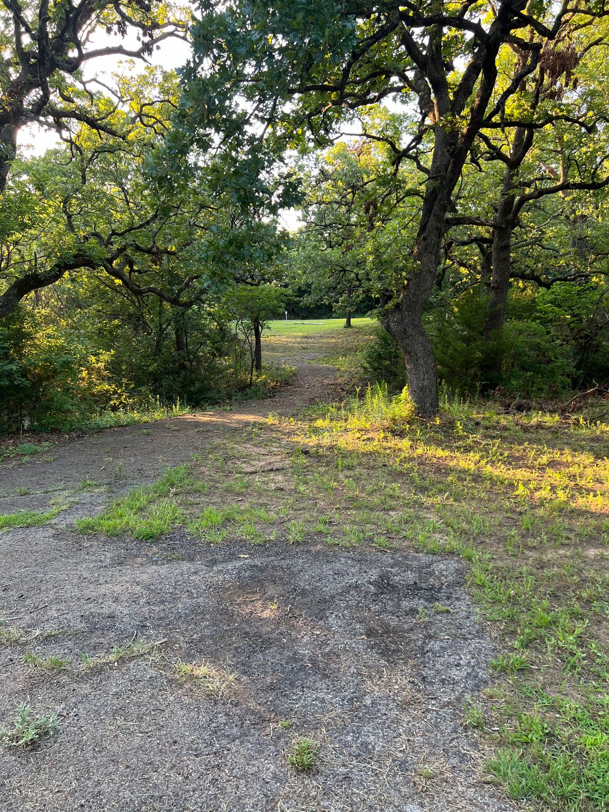 Hole 5