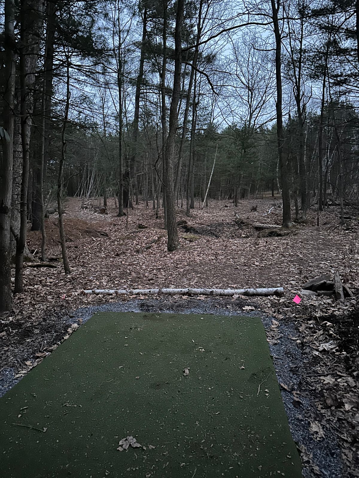 Hole Nine Tee
