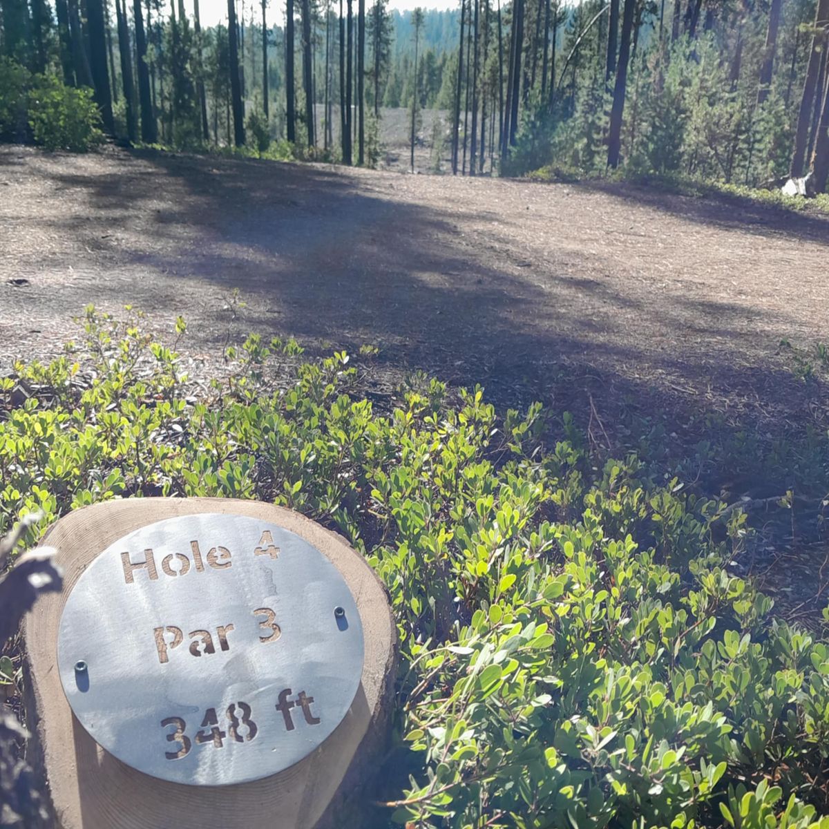 Hole 4