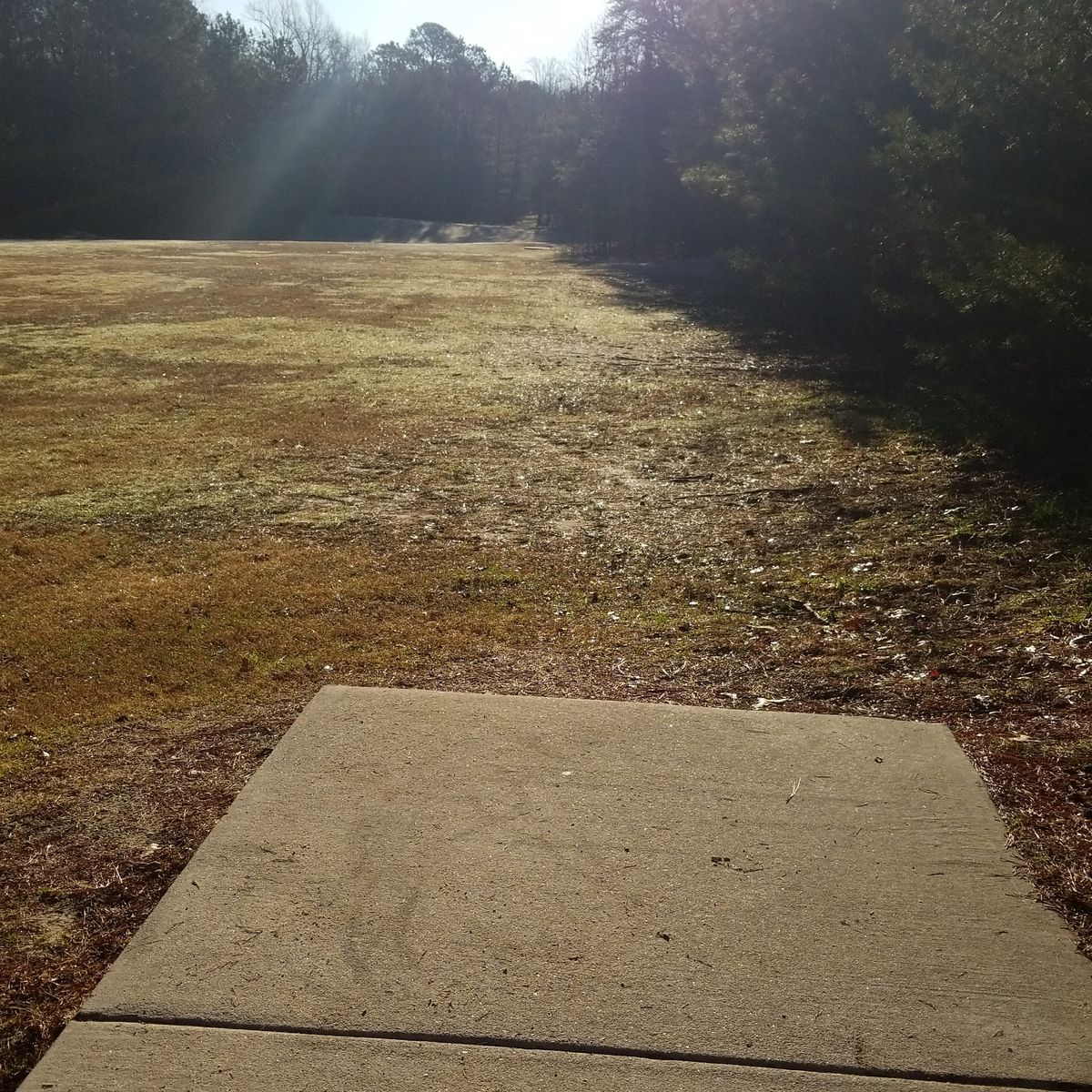 Hole one tee pad, Goyne park disc golf course.