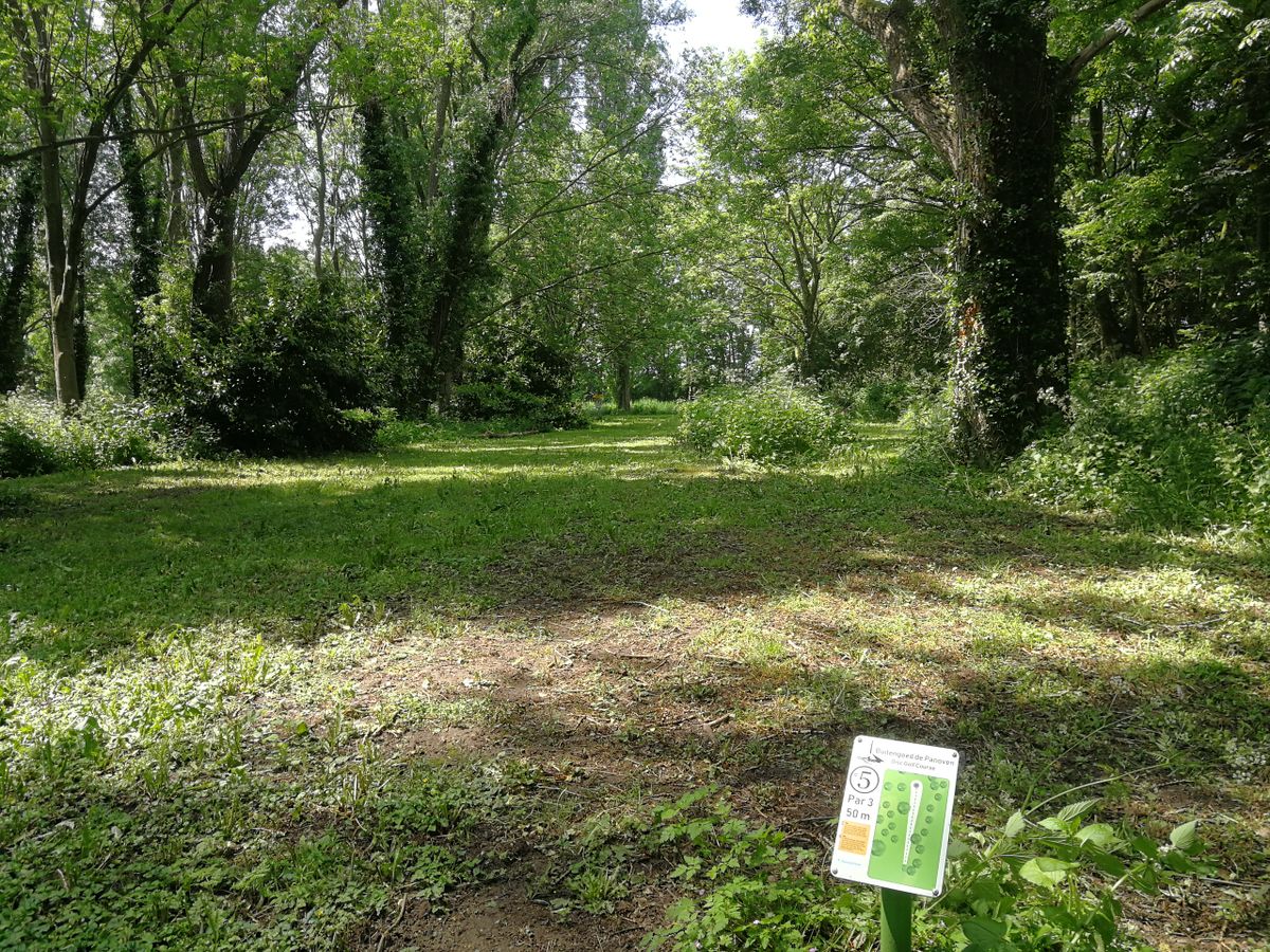 Hole 5