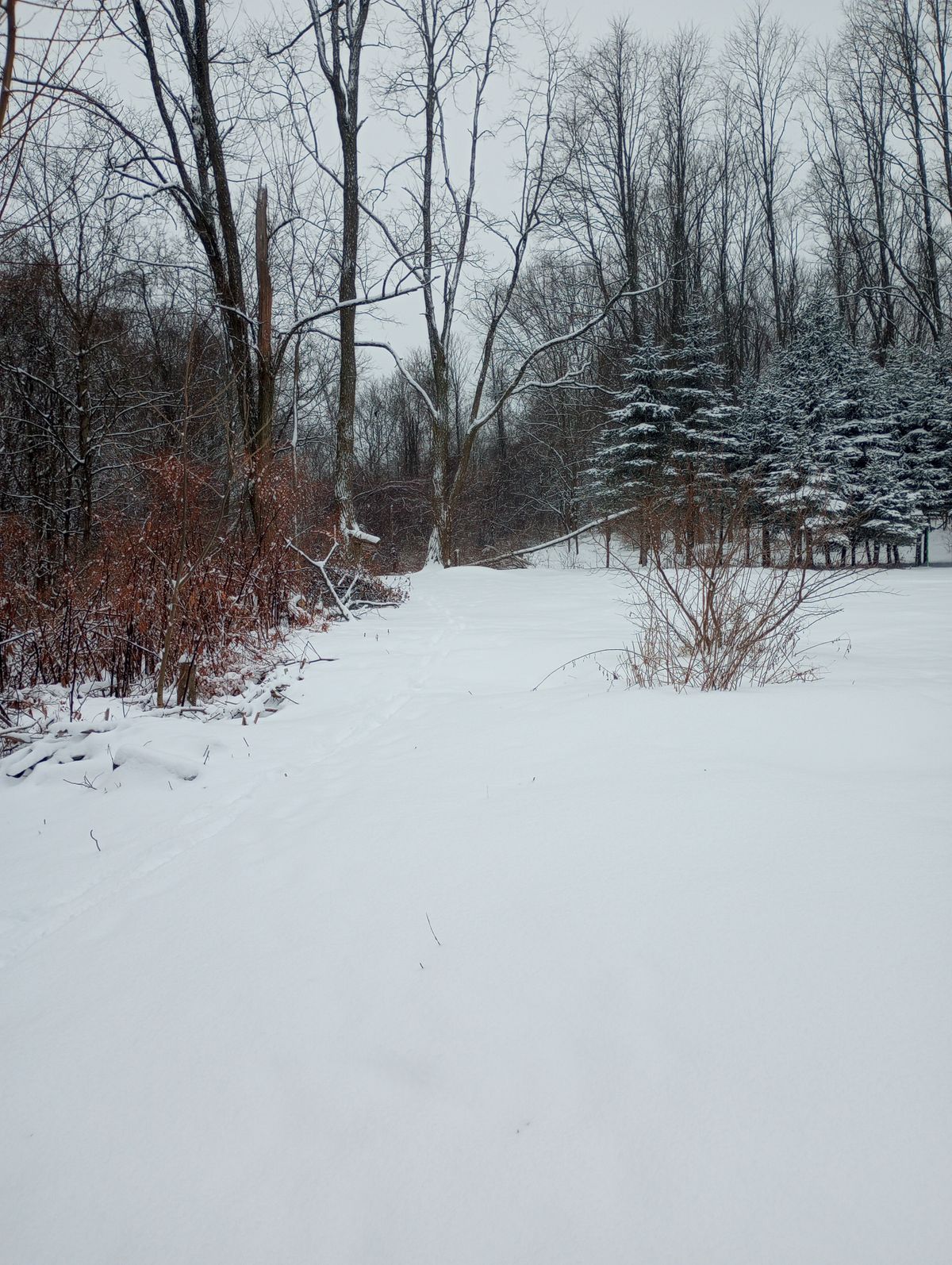 Tee Winter