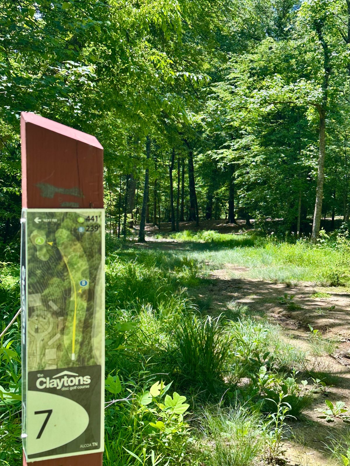 Hole 7