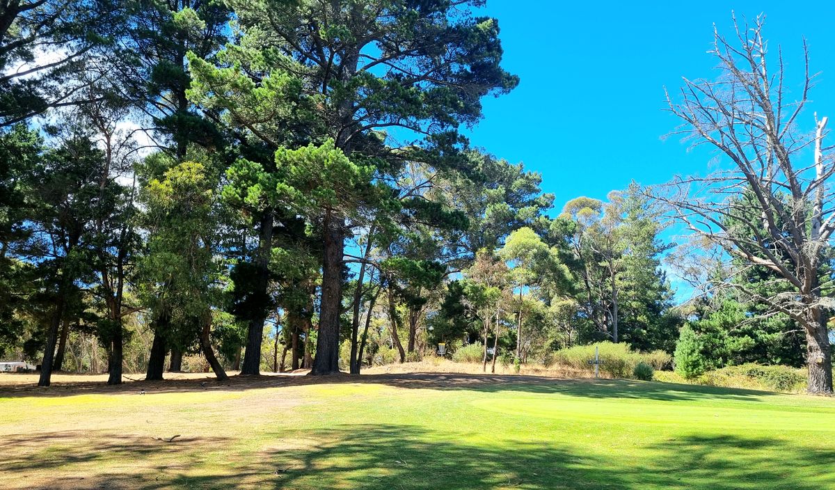 Hole 3 Basket, view from the golf fairway