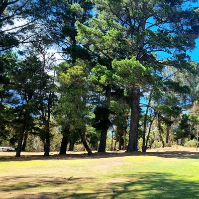 Hole 3 Basket, view from the golf fairway