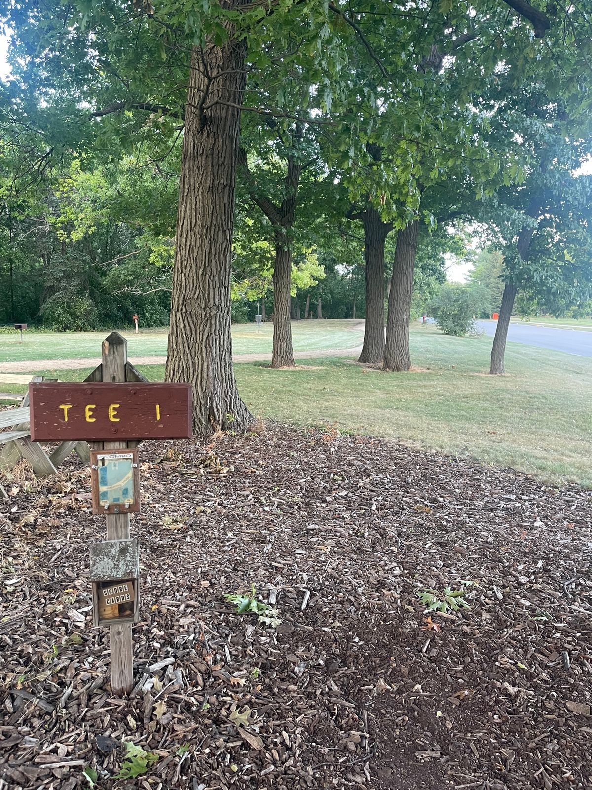 Hole 1: beginner friendly distance with a couple tricky trees