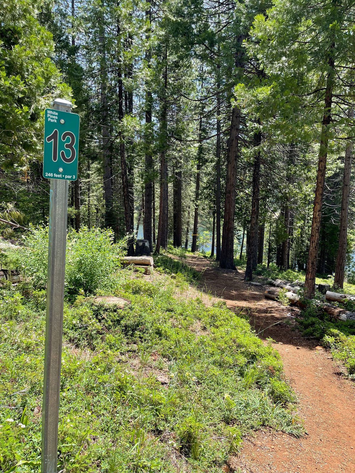 Hole 13