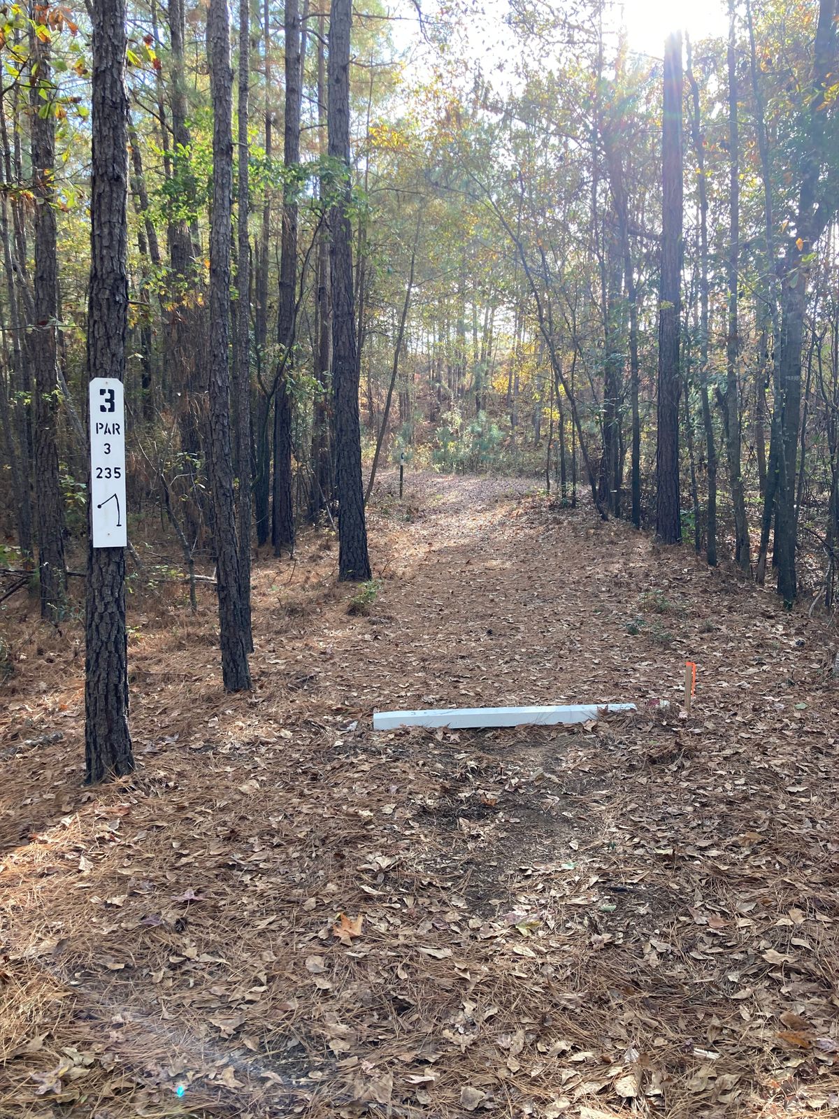 Hole 3, Tee Box, 235’ Hairpin Left.
