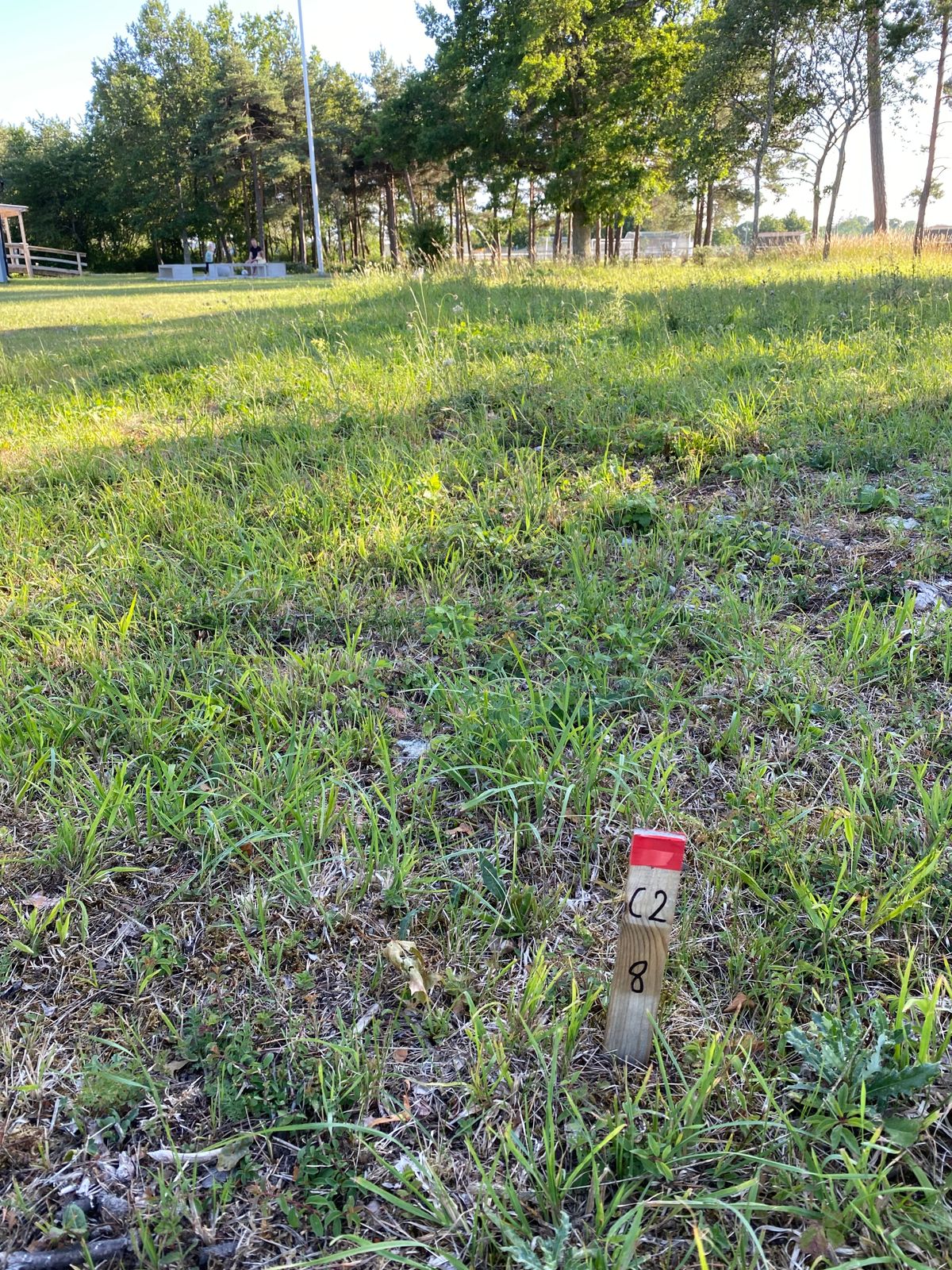 Tee 8
