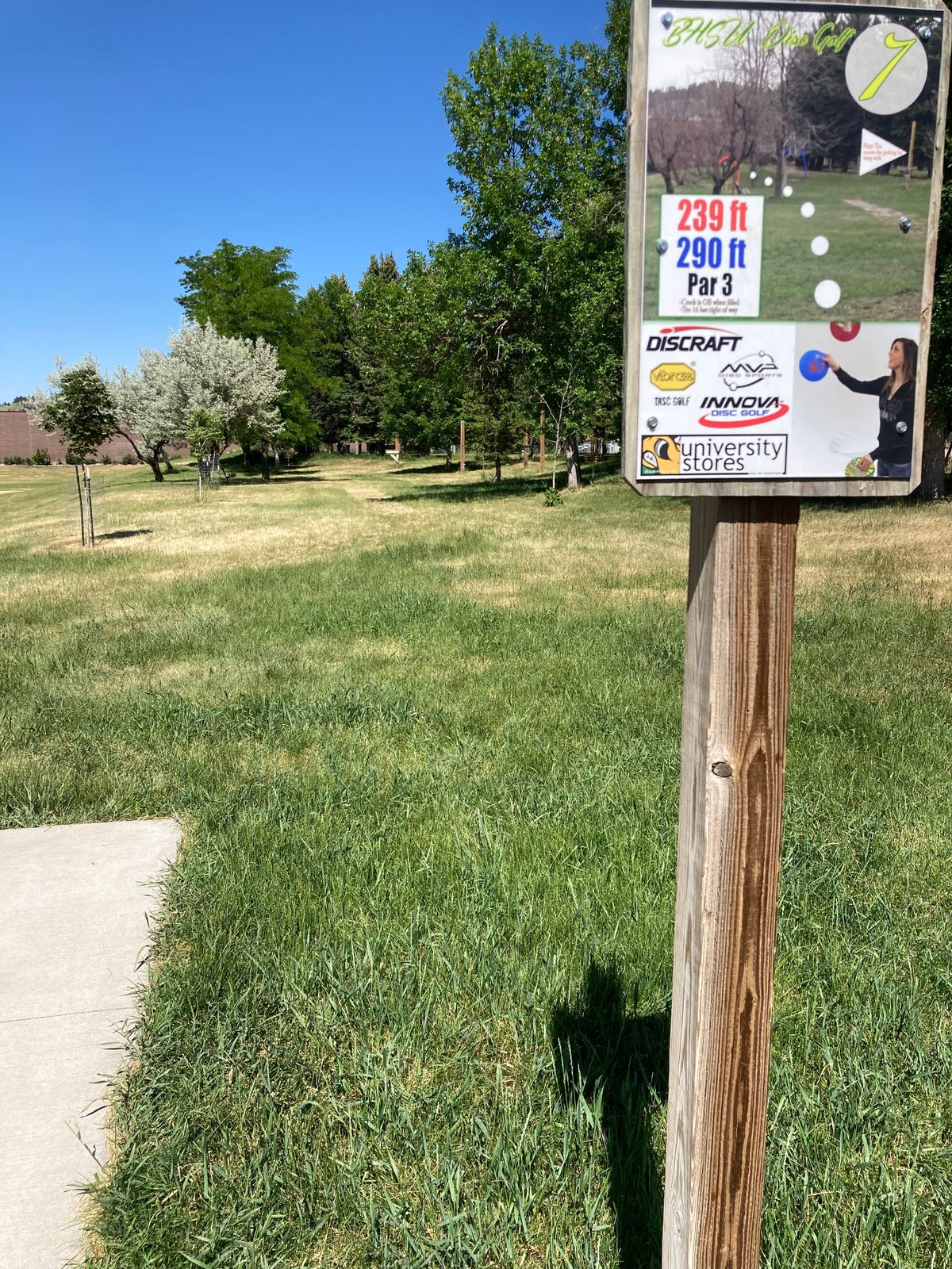 Tee 7