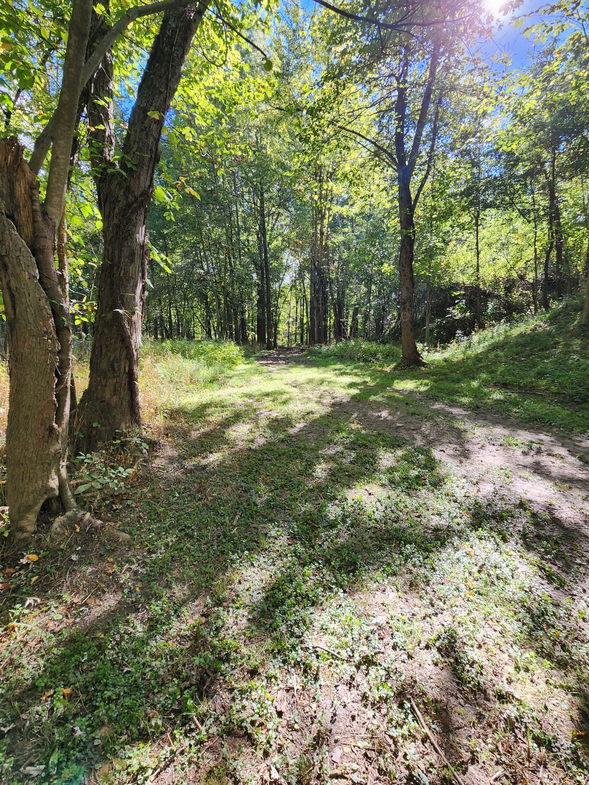 No. 12 fairway