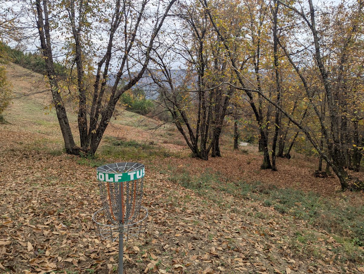 Hole 10 - looking back to teepad from basket.Hole
