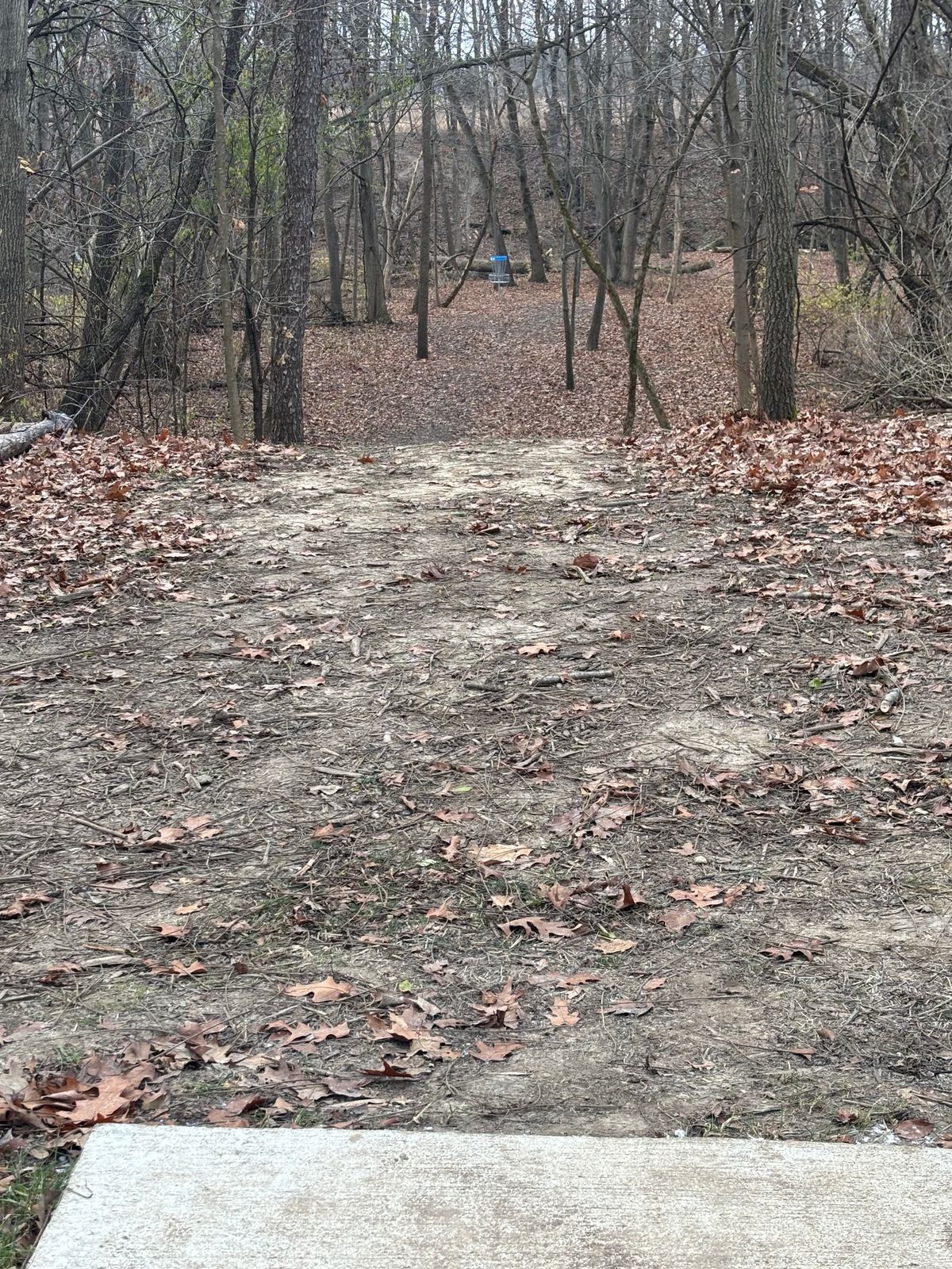 View from tee pad #3