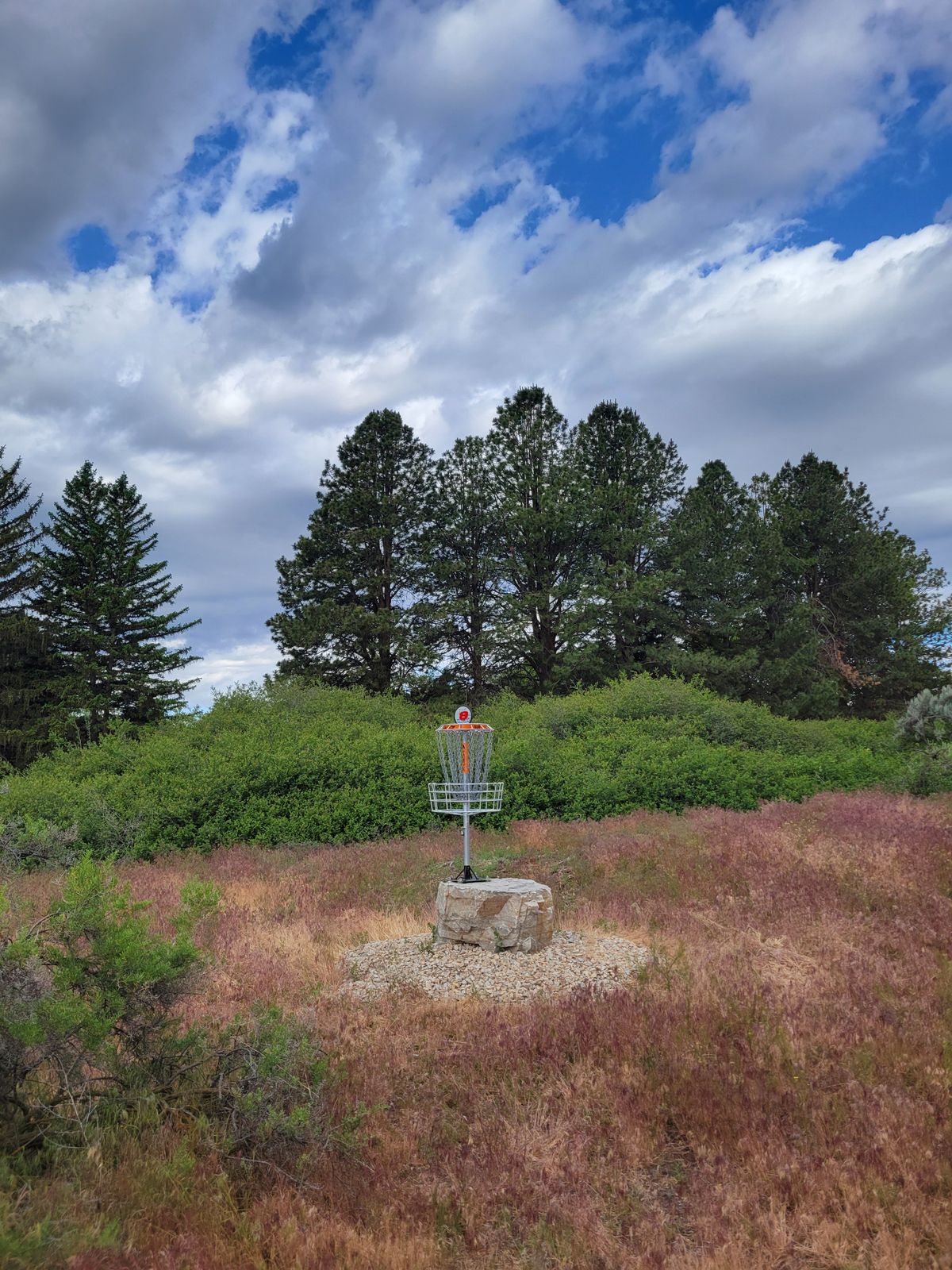 Hole 8 basket