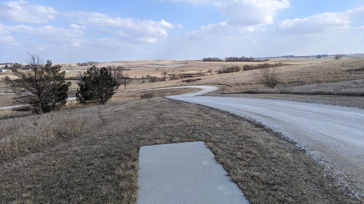 Tee #7 (long)