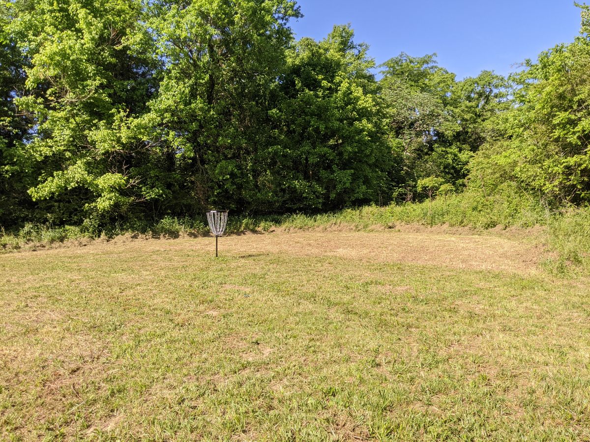 Hole 5 green