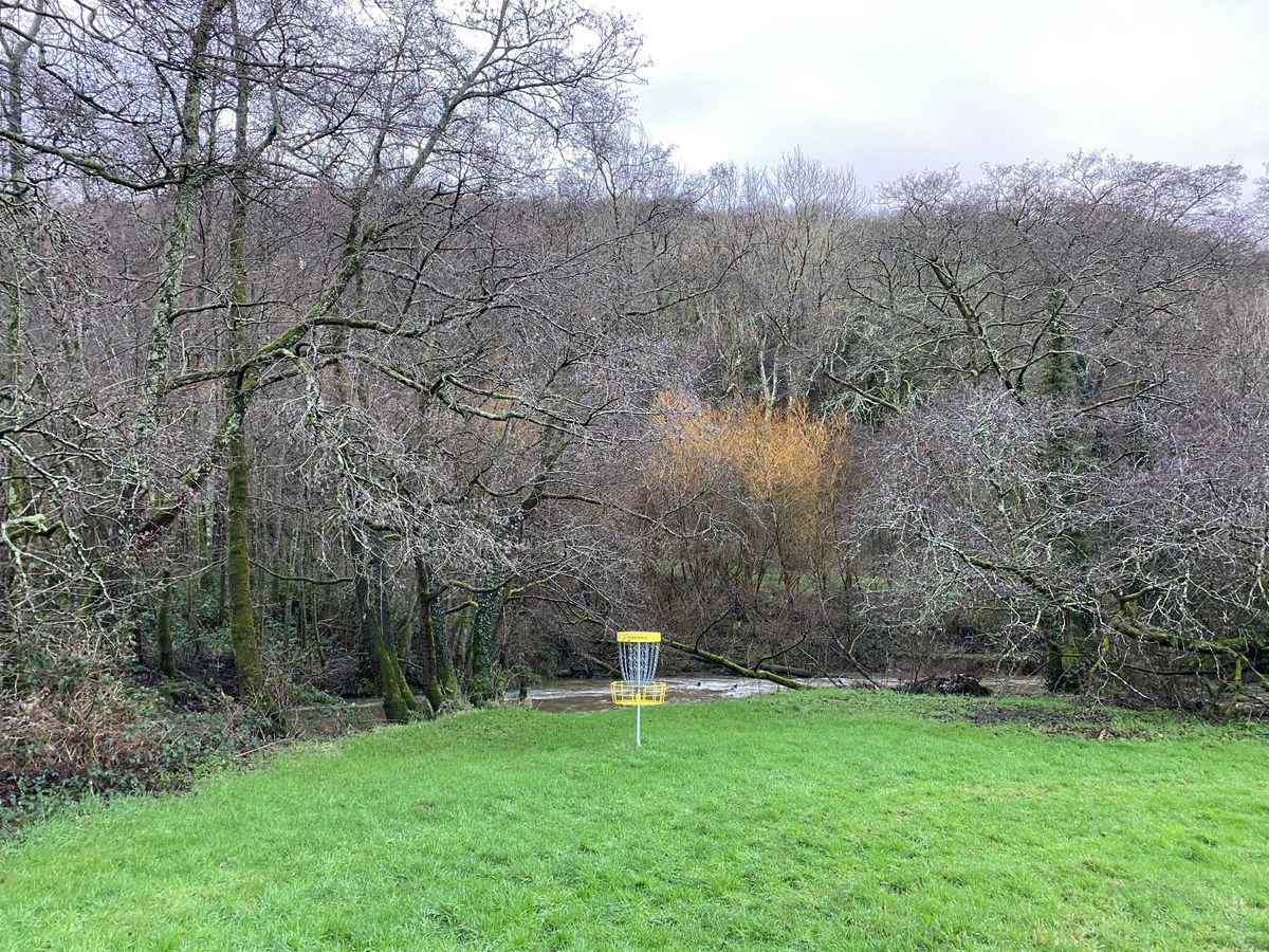 Hole 7 basket from fairway