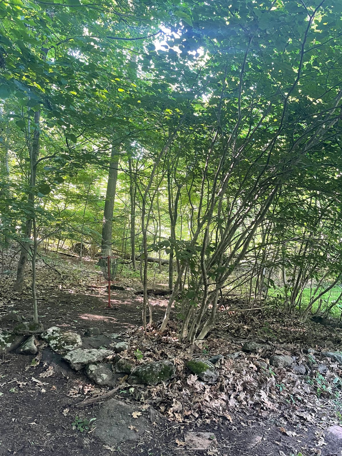 Hole 12