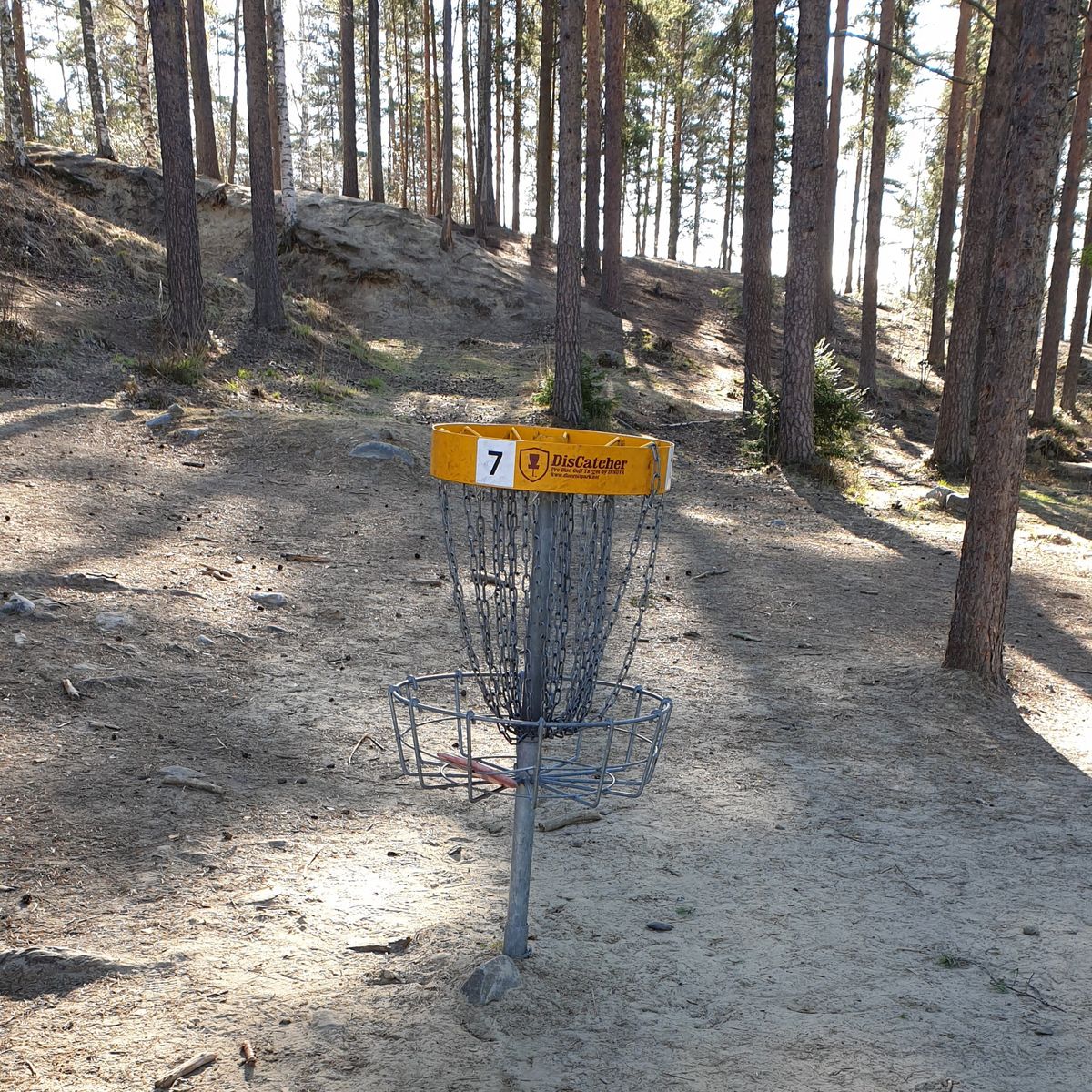 Hole #7 (Old).