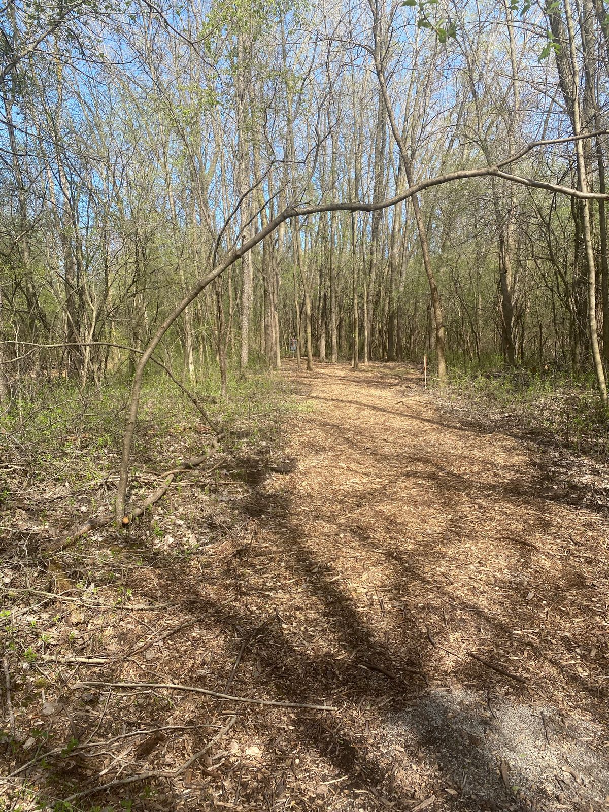 Hole 6 tee