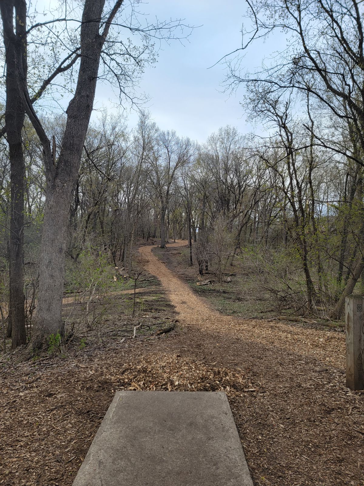 Hole 8. I wanna say thank you to everyone putting in work on the course. It doesn't go unnoticed. We really appreciate it