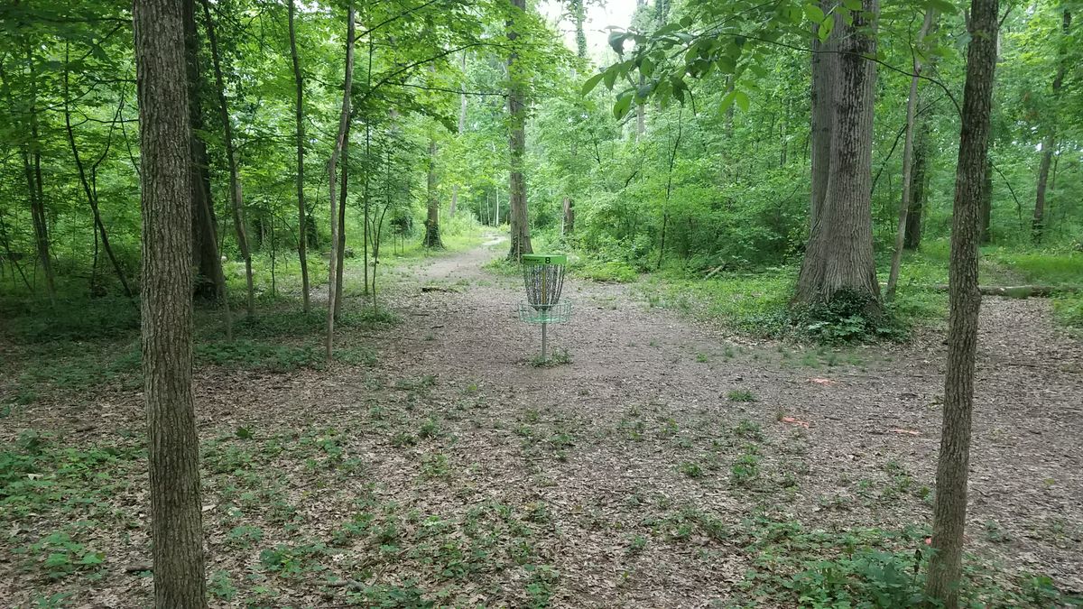Looking back from the short position