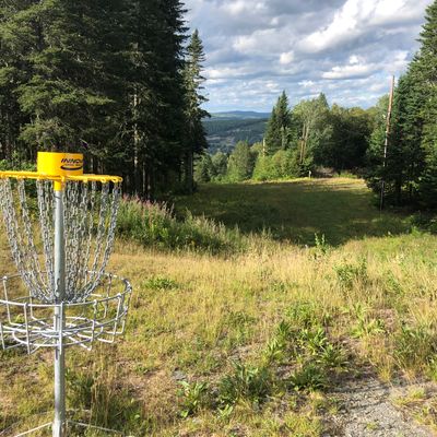 Hole #11 Basket