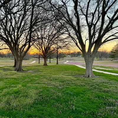 Hole 10 at sunset. Cart path  and beyond is OB. Do you shoot the tree gap or go big hyzer?