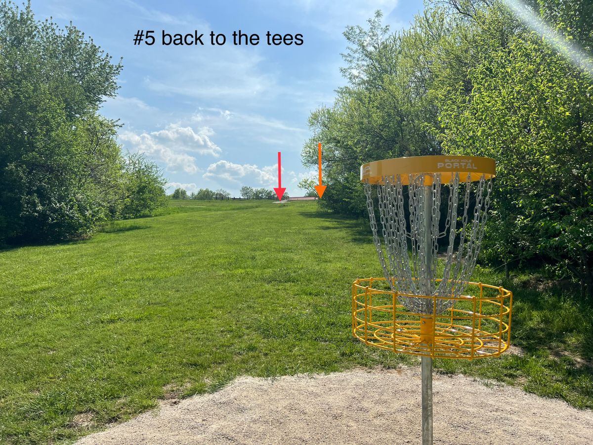 #5 - basket to tees