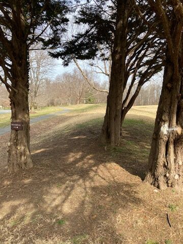 Hole 5 double mando