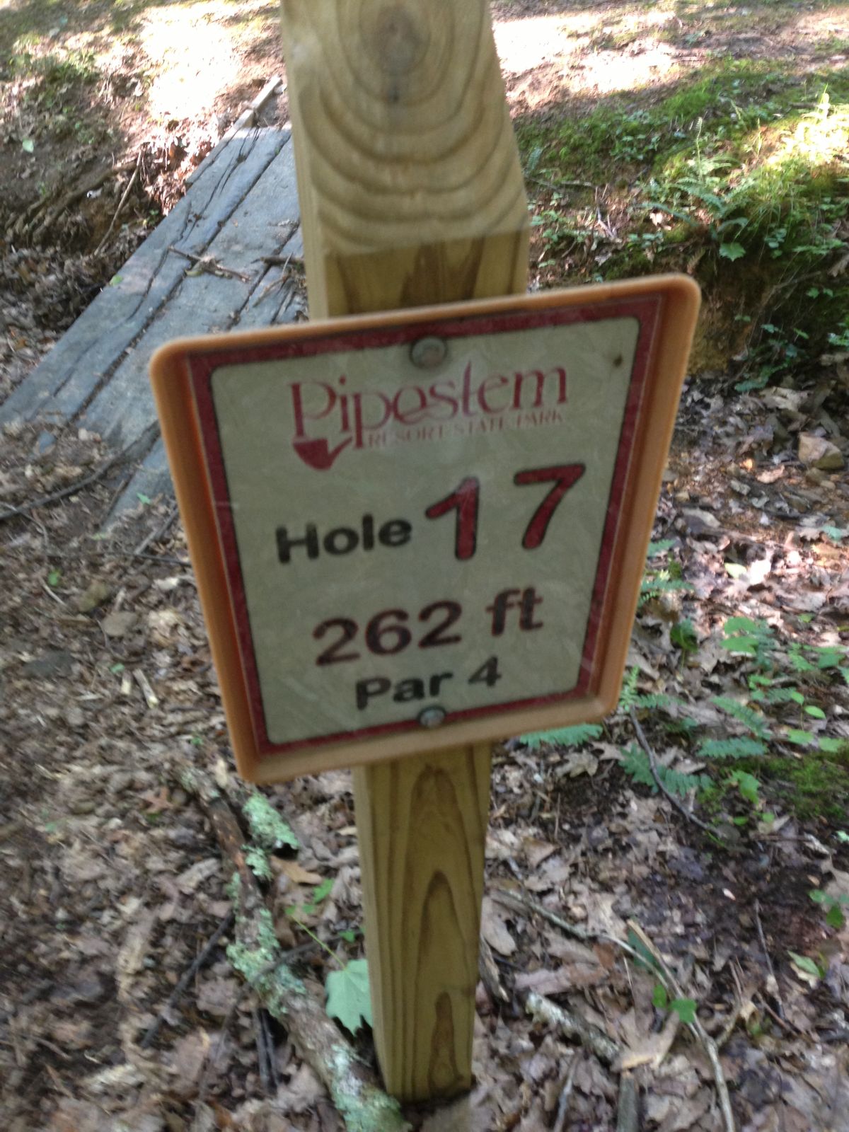 Hole 17