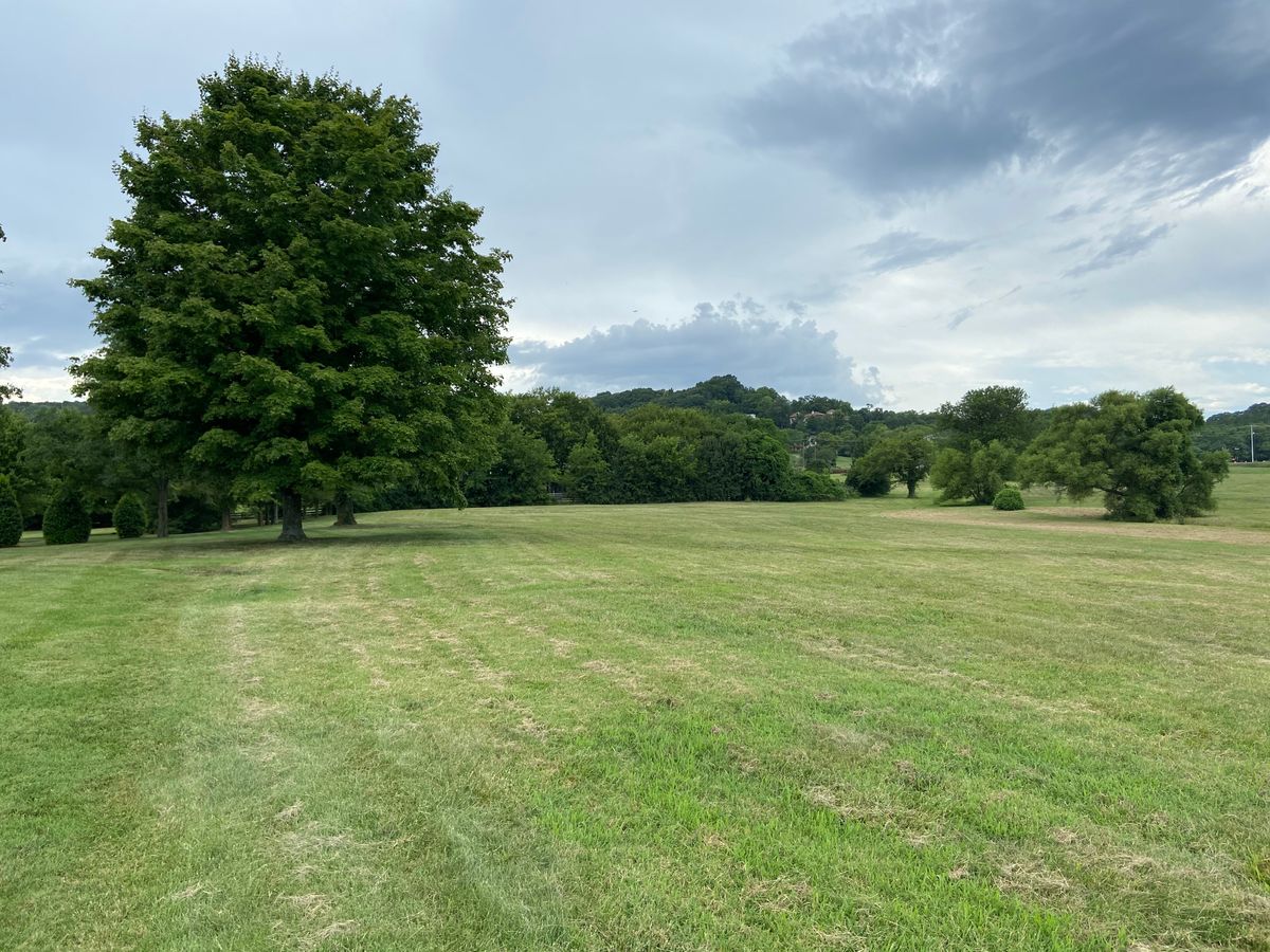 General view of course
