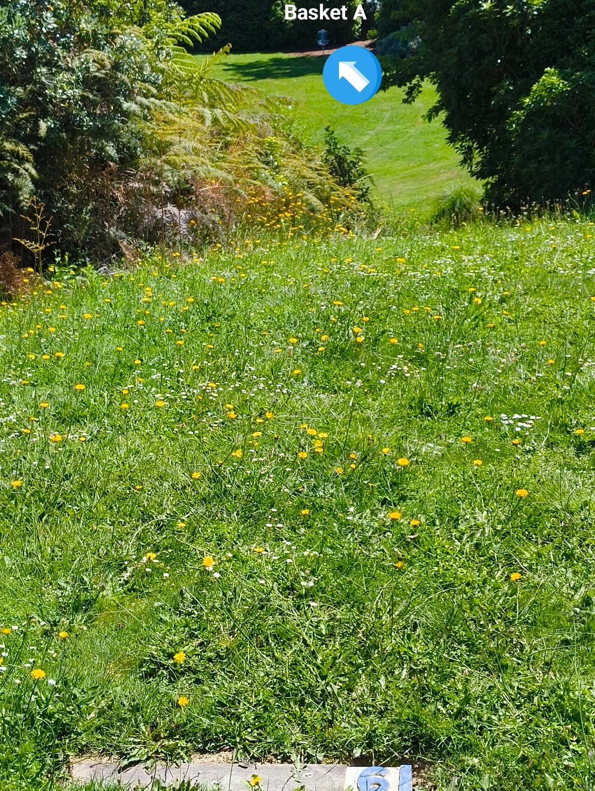 Walk from Basket C direction narrow footbridge/plank then left up path on steep bank. T6 to basket A through bushy corridor