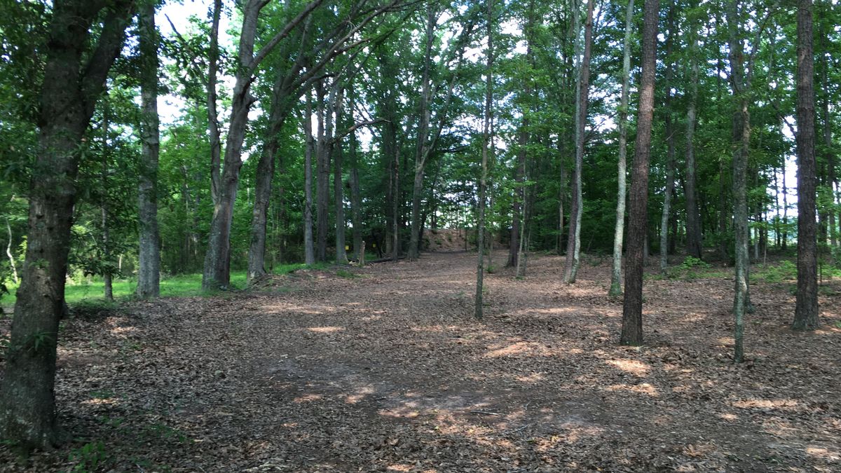 Hole 11
